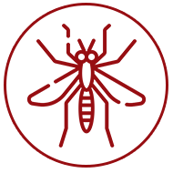 Kawalan Vektor atau Semburan Nyamuk